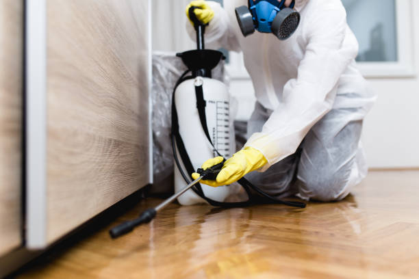 Best Wildlife Control Services  in Bear, DE