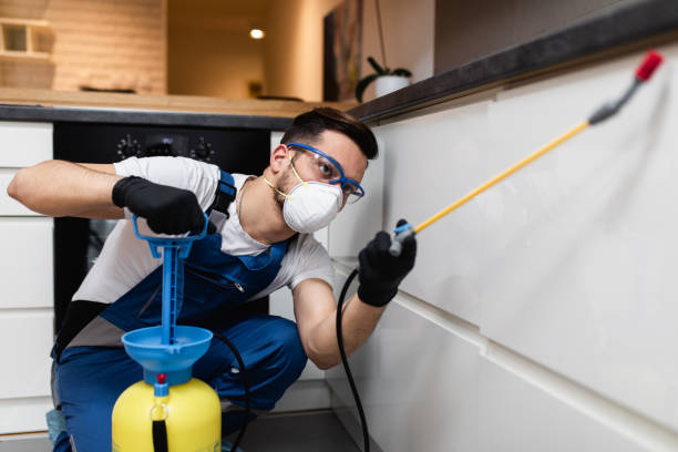 Best Pest Prevention Services  in Bear, DE