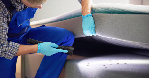 Best Commercial Pest Control Services  in Bear, DE